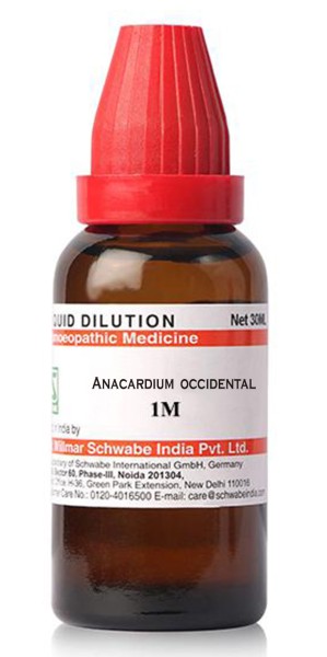 Anacardium Occidental